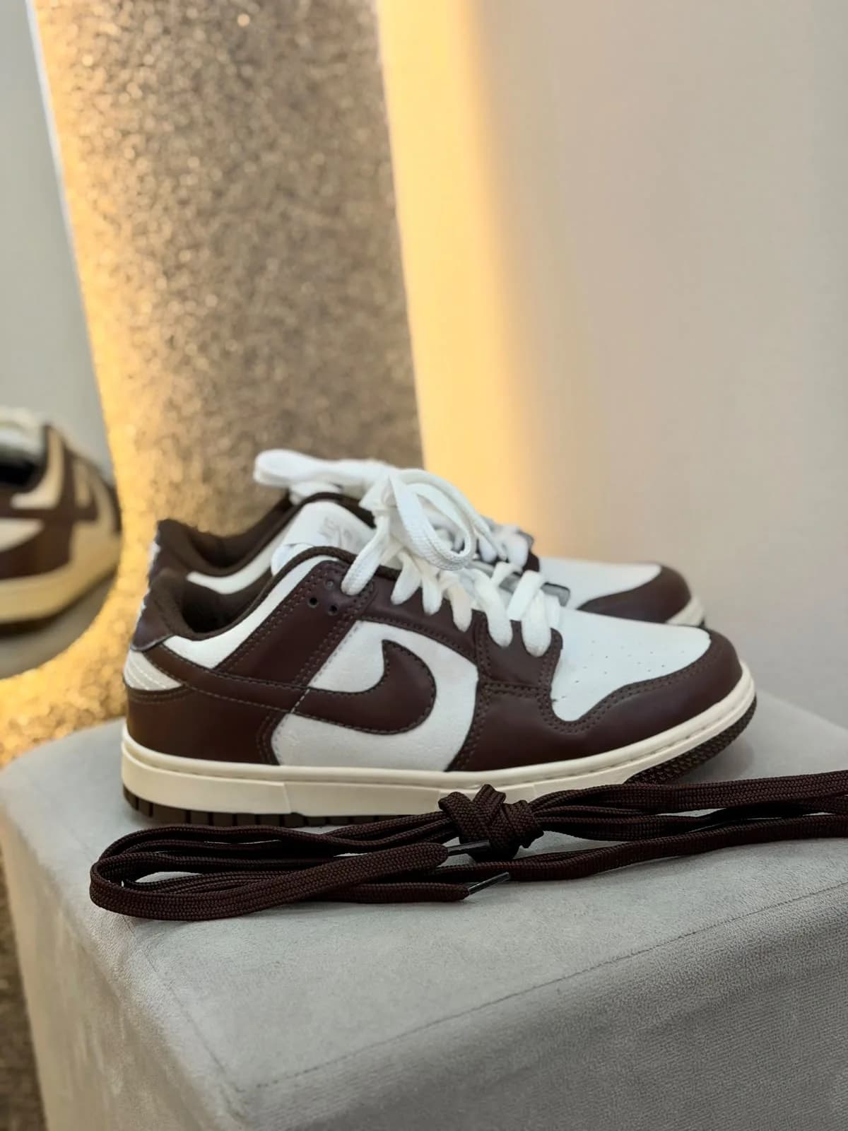 NK Dunk Cacao